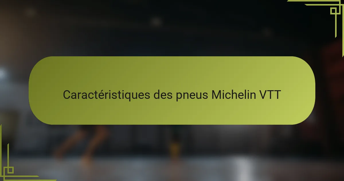 Caractéristiques des pneus Michelin VTT
