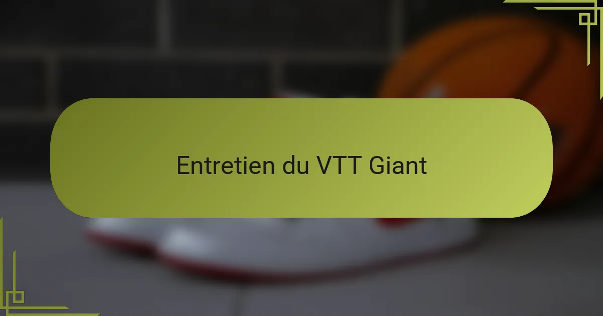 Entretien du VTT Giant