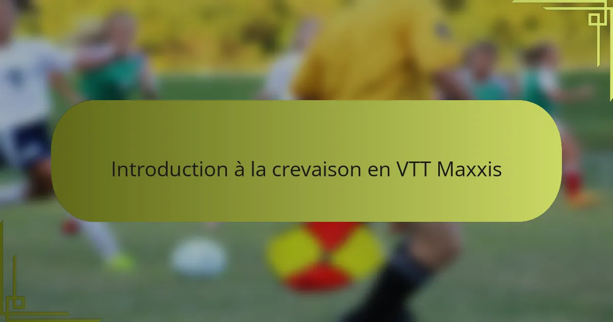 Introduction à la crevaison en VTT Maxxis