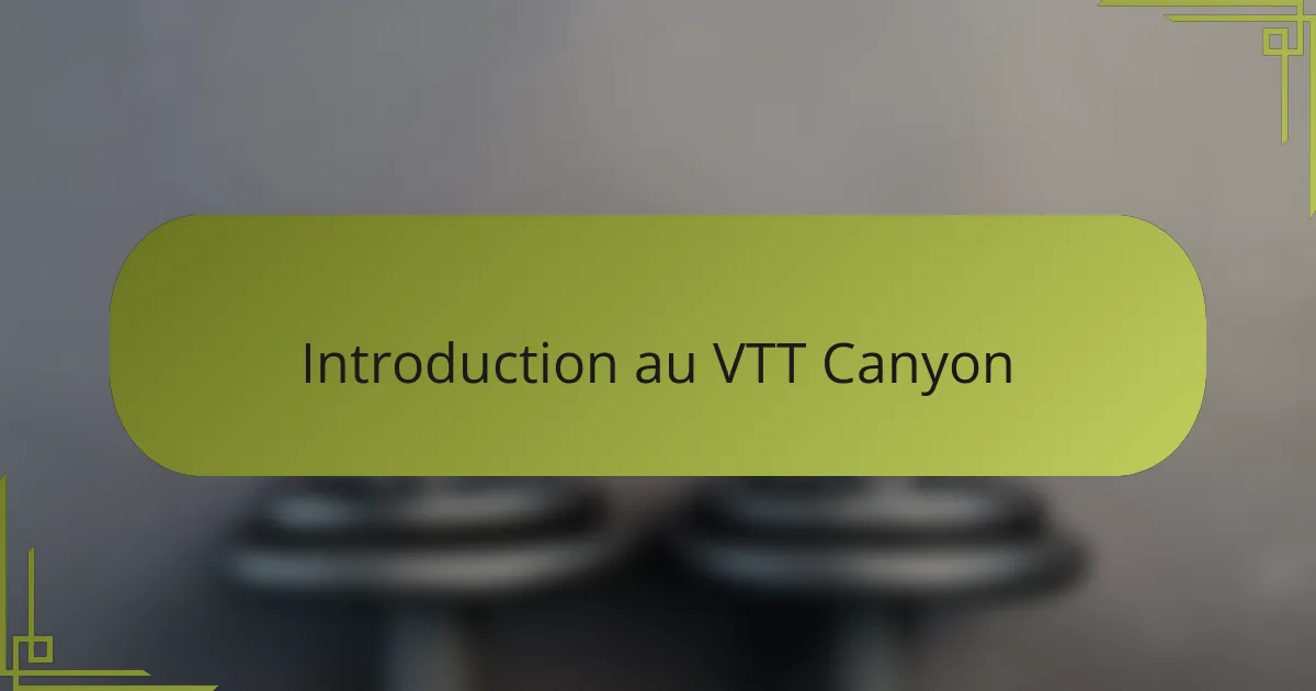 Introduction au VTT Canyon