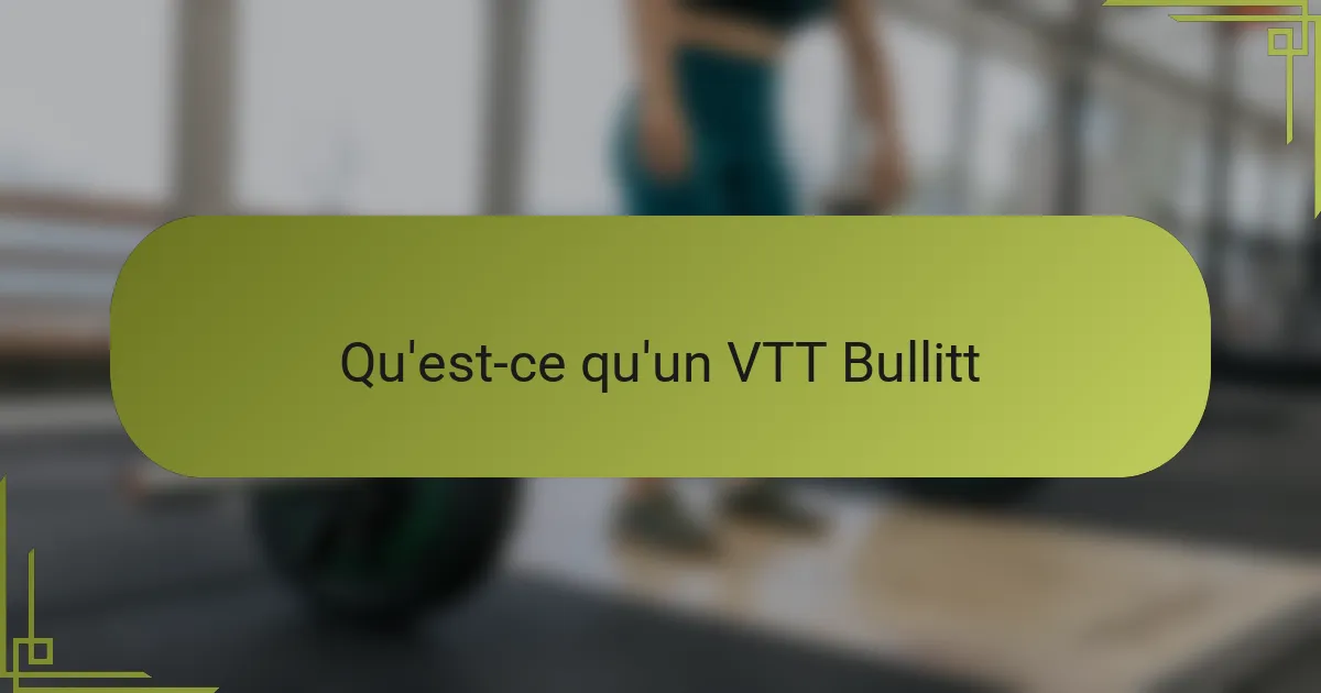 Qu'est-ce qu'un VTT Bullitt